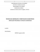 Relatório Técnicas de Separação e Purificação de Substâncias