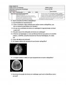 Trabalho Fundamentos da Radiologia