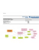 O Metabolismo e Nutrigenômica