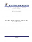 O RELATÓRIO DO ESTÁGIO CURRICULAR OBRIGATÓRIO: EDUCAÇÃO INFANTIL