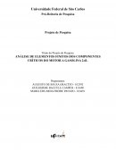 A ANÁLISE DE ELEMENTOS FINITOS DOS COMPONENTES CRÍTICOS DO MOTOR A GASOLINA 2.6L