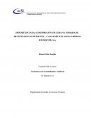 A IMPORTÂNCIA DA AUDITORIA FINANCEIRA NA TOMADA DE DECISÃO DE INVESTIMENTO – CASO PARTICULAR DA EMPRESA TRANSCOM, S.A.