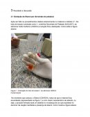 Relatório Oxidação do Etanol