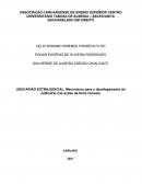 USUCAPIÃO EXTRAJUDICIAL: MECANISMO PARA DESAFOGAR O PODER JUDICIÁRIO NAS AÇÕES DE BENS IMÓVEIS