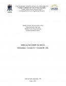 Relatório Coordenação do curso de Engenharia Mecânica