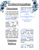 O Endocrinopatias