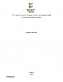 Relatório Instituto Federal de Educação, Ciência e Tecnologia de Brasília