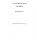 OS TRANSGÊNERAS FEMININAS NO SISTEMA PENITENCIÁRIO BRASILEIRO: VIOLÊNCIA VERSUS DIREITOS HUMANOS