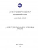 A PSICOPATIA E SUA PUNIBILIDADE NO SISTEMA PENAL BRASILEIRO