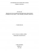 RESENHA DO TEXTO: REGIMES DE HISTORICIDADE: PRESENTISMO E EXPERIÊNCIAS DO TEMPO - CAP.04: MEMÓRIA, HISTÓRIA E PRESENTE