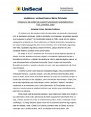 TRABALHO DE DIREITOS CONSTITUCIONAIS FUNDAMENTAIS