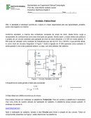 O Bacharelado em Engenharia Elétrica/Computação