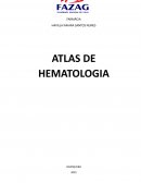 OS ATLAS HEMATOLOGIA