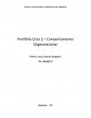 Portfólio Ciclo 2 – Comportamento Organizacional