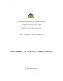 VIDA E MORTE NA UTI COVID-19 O LUTO DOS FAMILIARES