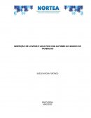 A INSERÇÃO DE JOVENS E ADULTOS COM AUTISMO NO MUNDO DE TRABALHO