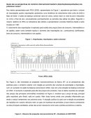 Quais são as perspectivas do comércio internacional brasileiro (importações/exportações) nos próximos 2 anos?