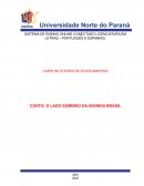 O CONTO PORTFOLIO LETRAS 2° SEMESTRE