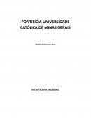 O PROCESSO DE PRODUÇÃO DE UM TUBO SEM COSTURA