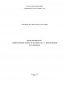 UM ESTUDO SOBRE O IMPACTO DA LIDERANÇA NA MOTIVAÇÃO DOS FUNCIONÁRIOS