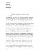 Relatório Técnico da Aula Prática de Jar Test