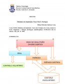 A Dinâmica da Deglutição: Fases Oral e Faríngea