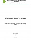 ESCOAMENTO – NÚMERO DE REINALDS