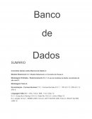 Os Conceitos Gerais sobre Bancos de Dados