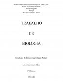 Simulação do Processo de Seleção Natural