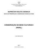 A APOSTILA CONSERVAÇÃO DE BENS CULTURAIS PAPEL