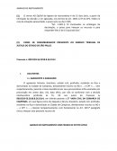 O AGRAVO DE INSTRUMENTO