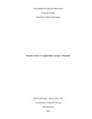 Resenha Crítica: O vanguardismo europeu e a Bauhaus, "Uma introdução a história do Design" de Rafael Cardoso Denis