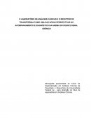 O LABORATÓRIO DE ANÁLISES CLÍNICAS E O RECEPTOR DE TRANSFERRINA COMO UMA DAS NOVAS PERSPECTIVAS NO ACOMPANHAMENTO E DIAGNÓSTICO DA ANEMIA DO DOENTE RENAL CRÔNICO