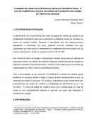 OS OBSTÁCULOS À PRODUÇÃO DA VERDADE NA AUDIÊNCIA DE CUSTÓDIA: UMA ANÁLISE A PARTIR DA NOVA LEI ANTICRIME Nº13.964/2019 1