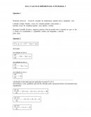 O CALCULO DIFERENCIAL E INTEGRAL