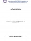 O TRABALHO DE PRIMEIRA INSTRUÇÃO NO GRAU DE APRENDIZ MAÇOM