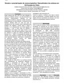 Estudo e Caracterização de Nanocompósitos: Nanowhiskers de Celulose em Etil Acetato de Vinila