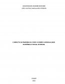 O IMPACTO DA PANDEMIA DA COVID-19 SOBRE A DESIGUALDADE ECONÔMICA E SOCIAL NO BRASIL