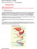 Resumo de Bioquímica Semestre