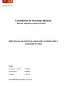 O Mestrado Integrado em Engenharia Biológica