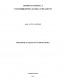 Relatório Final do Programa de Pré-Iniciação da USP