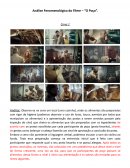 A Análise Fenomenológica do Filme – “O Poço”