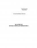 RELATO DA ANÁLISE DO PROJETO POLÍTICO PEDAGÓGICO (PPP)