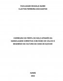 A CORREÇÃO DO PERFIL DO SOLO ATRAVÉS DA SUBSOLAGEM CORRETIVA COM ÓXIDO DE CÁLCIO E MAGNÉSIO NA CULTURA DA CANA DE AÇÚCAR