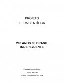 O Projeto Feira Científica