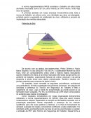 Relatório de Acidente de Trabalho