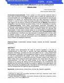 OPERAÇÕES DAS CRIPTOMOEDAS À LUZ DA LEGISLAÇÃO BRASILEIRA