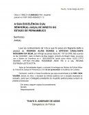 TERMO DE MEDIAÇÃO A SUA EXCELÊNCIA O(A) SENHOR(A) JUIZ(A) DE DIREITO DO ESTADO DE PERNAMBUCO