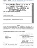 DETERMINAÇÃO DO COEFICIENTE DE TRANSFERÊNCIA DE CALOR CONVECTIVO PELO MÉTODO DA CAPACITANCIA GLOBAL