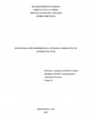 EFEITOS DAS AÇÕES PROPORCIONAL, INTEGRAL E DERIVATIVO NO CONTROLE DE NÍVEL